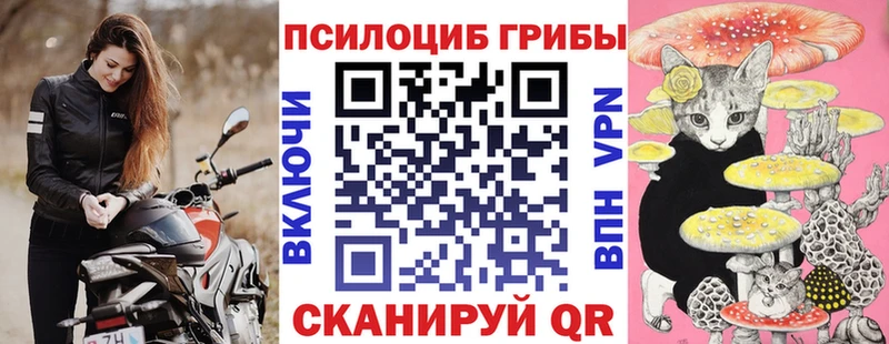 Псилоцибиновые грибы прущие грибы купить наркоту Юрьев-Польский
